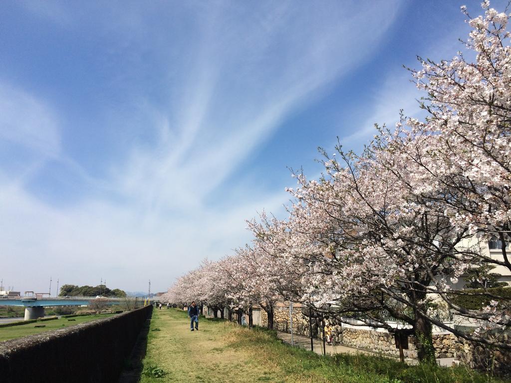 Jyoseikan Kōchi Exterior foto