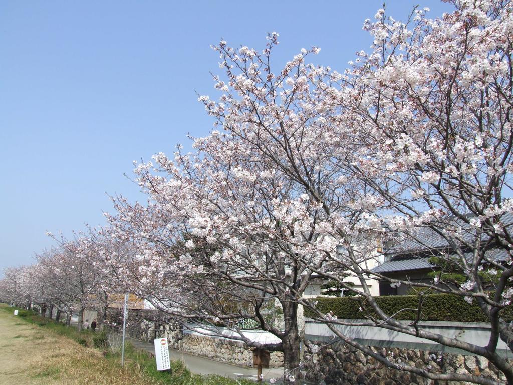Jyoseikan Kōchi Exterior foto